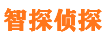 东安侦探